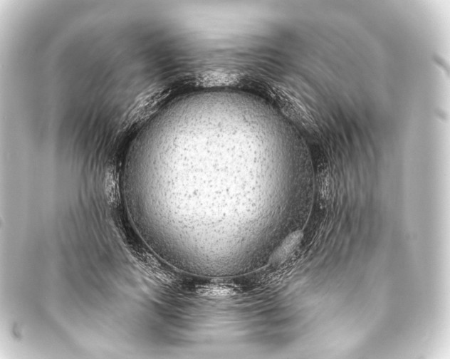 X0000093760743200710301144