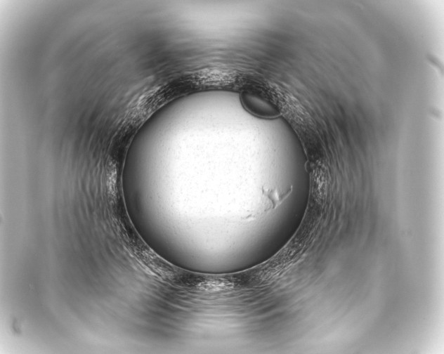 X0000093760745200710301144