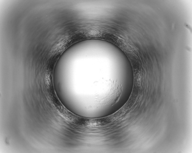 X0000093760746200710301144