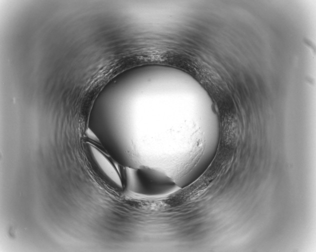 X0000093760747200710301144