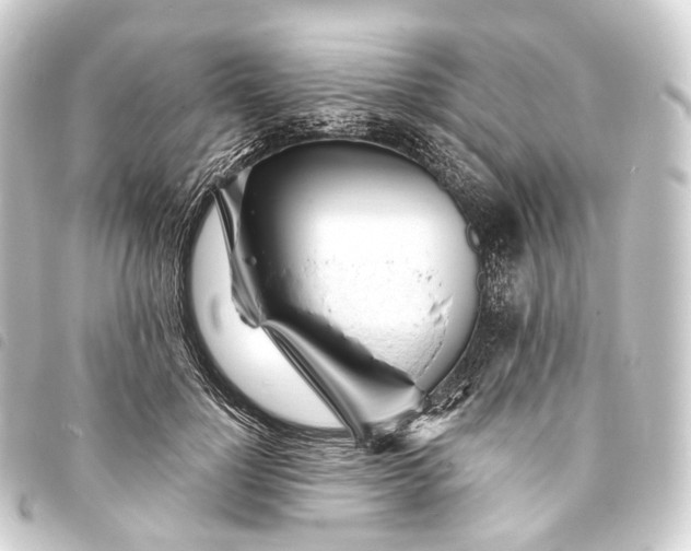 X0000093760748200710301144