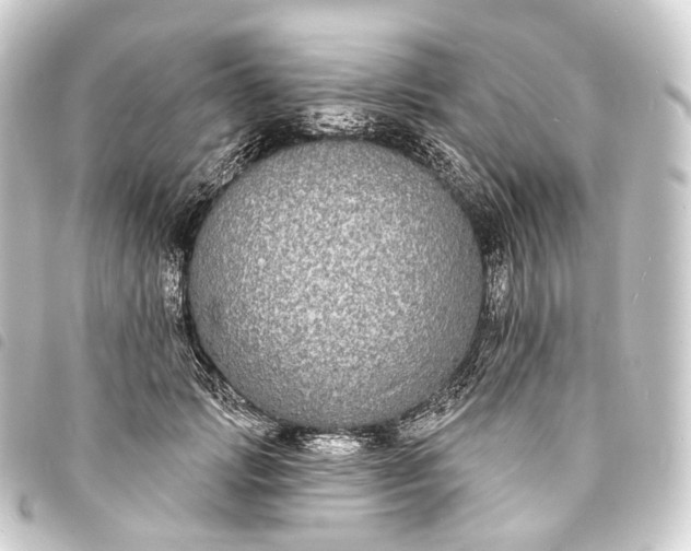 X0000093760749200710301144