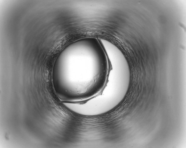 X0000093760750200710301144