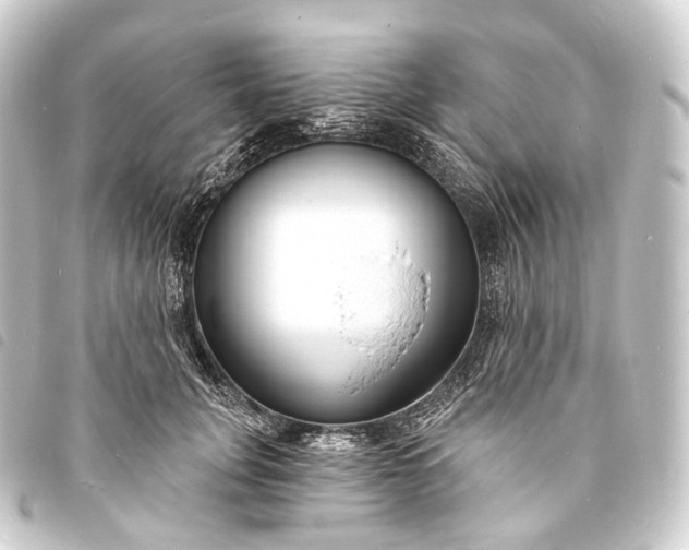 X0000093760751200710301144