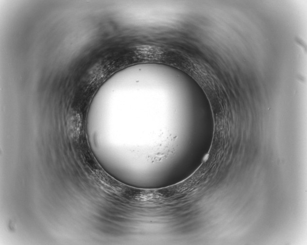 X0000093760752200710301144