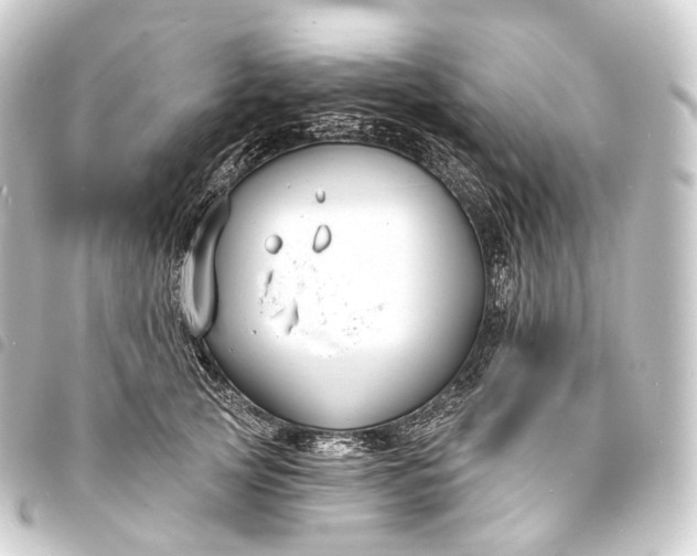 X0000093760753200710301144