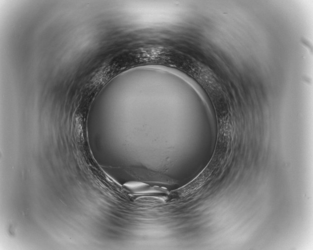 X0000093760754200710301144