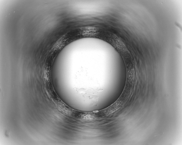 X0000093760755200710301144