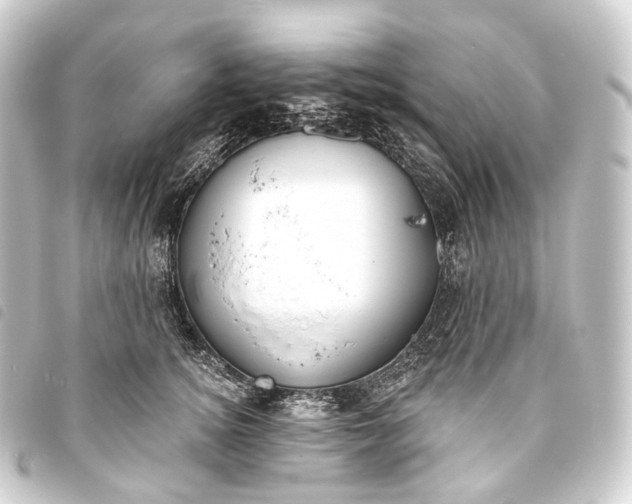 X0000093760756200710301144