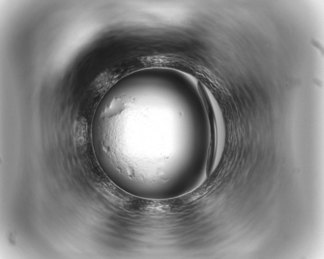 X0000093760760200710301144