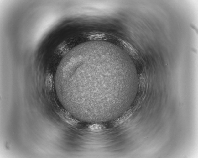 X0000093760761200710301144