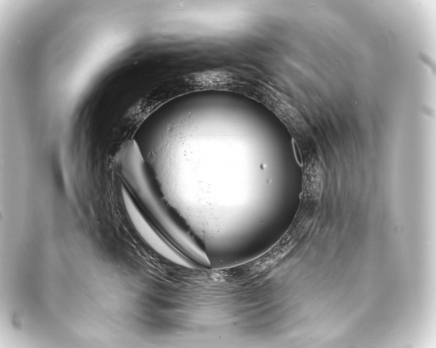 X0000093760762200710301144