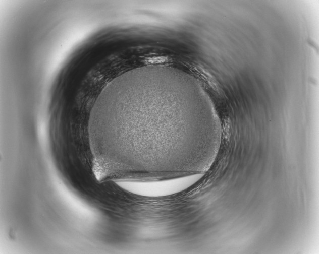 X0000093760763200710301144