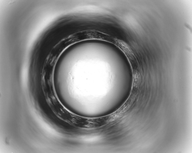 X0000093760765200710301144