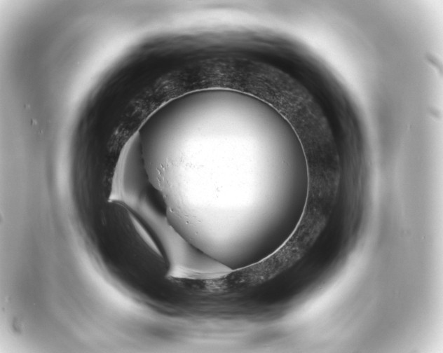 X0000093760766200710301144