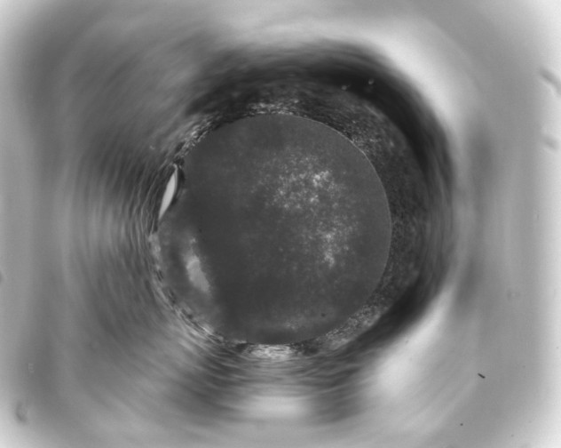 X0000093760767200710301144