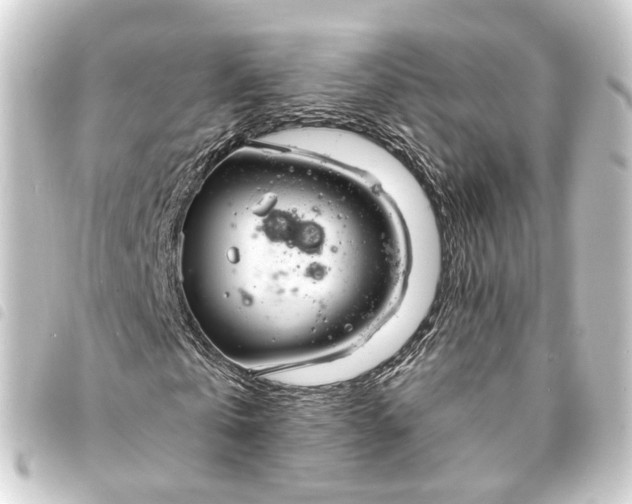 X0000093760769200710301144