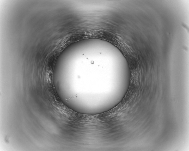 X0000093760770200710301144