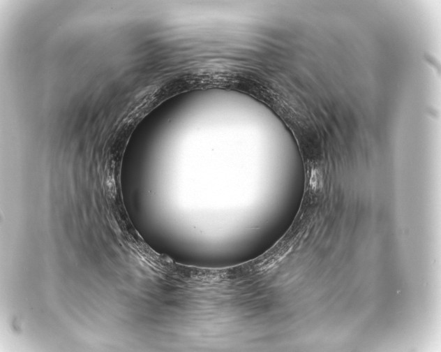 X0000093760771200710301144