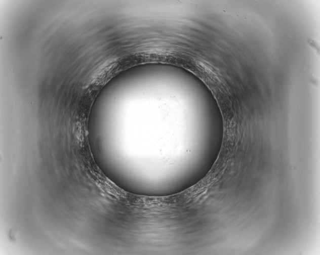 X0000093760774200710301144