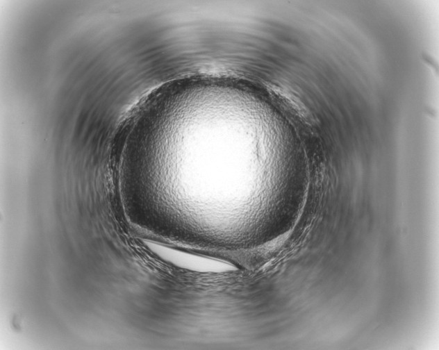 X0000093760776200710301144