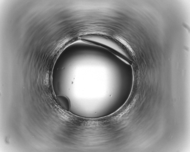 X0000093760777200710301144