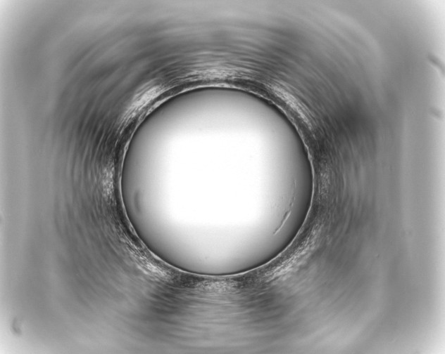 X0000093760778200710301144