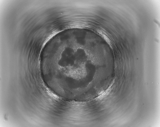 X0000093760779200710301143