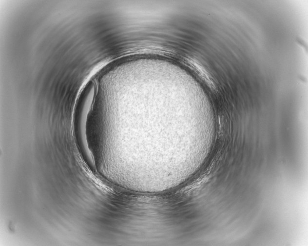 X0000093760780200710301143