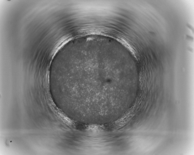 X0000093760790200710301143