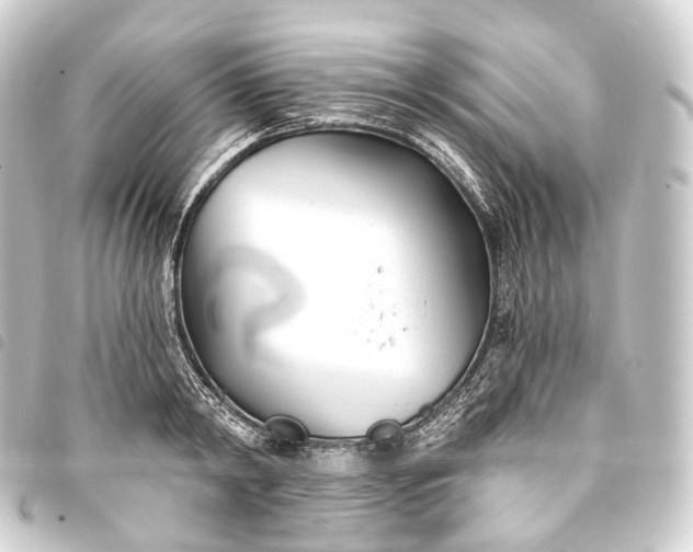 X0000093760798200710301143