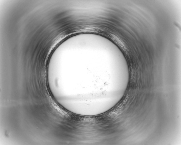 X0000093760800200710301143