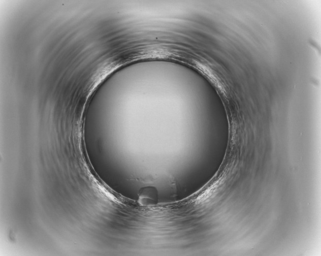 X0000093760802200710301143