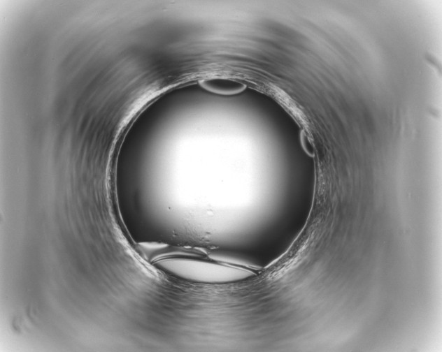 X0000093760803200710301143