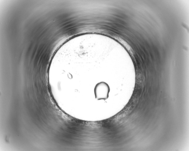 X0000093760807200710301143