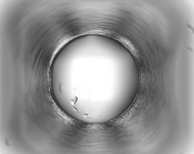 X0000093760808200710301143