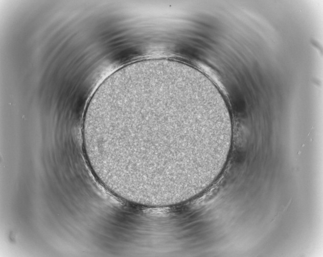 X0000093760810200710301143