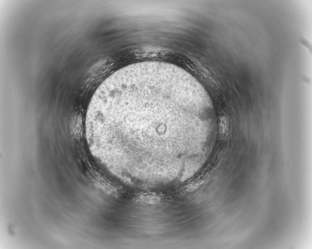 X0000093760820200710301143