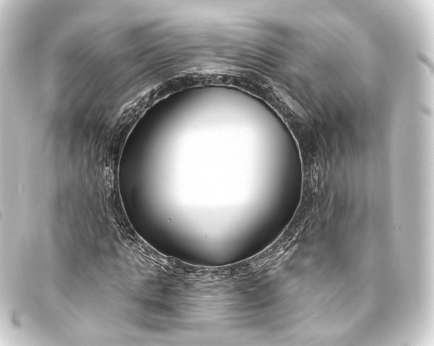 X0000093760821200710301143