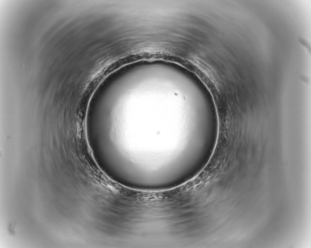 X0000093760823200710301143