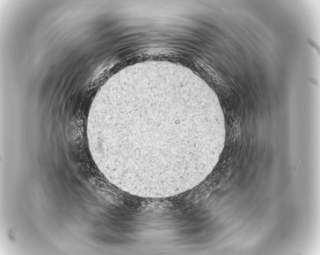 X0000093760824200710301143