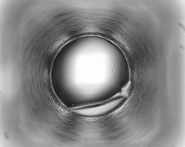 X0000093760825200710301143