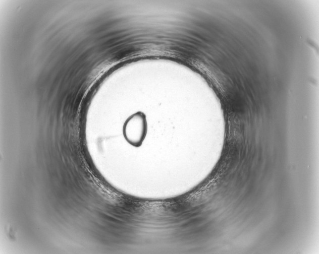 X0000093760828200710301143