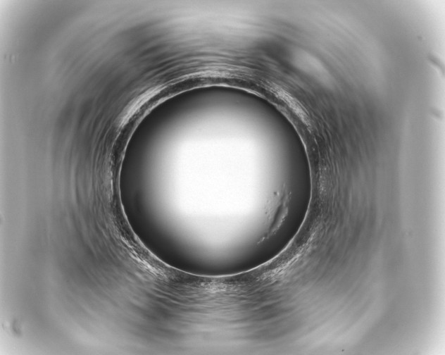 X0000093760829200710301143