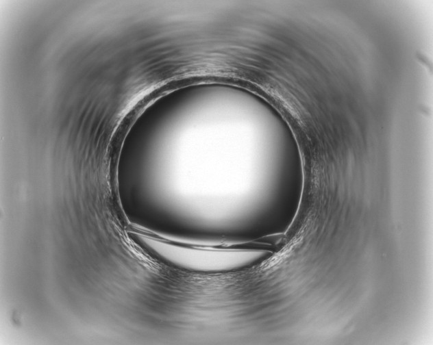 X0000093760830200710301143