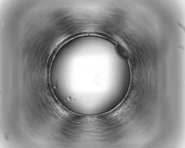 X0000093760831200710301143