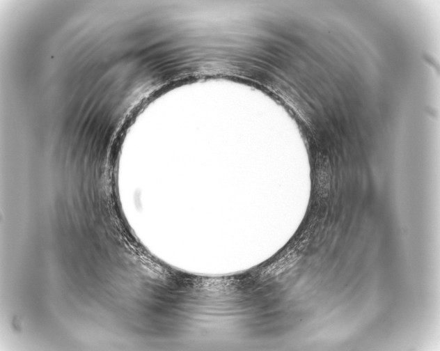 X0000093760832200710301143