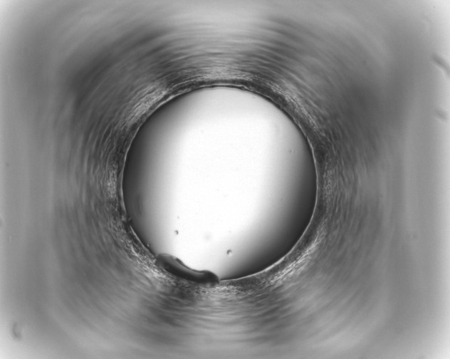 X0000093760833200710301143