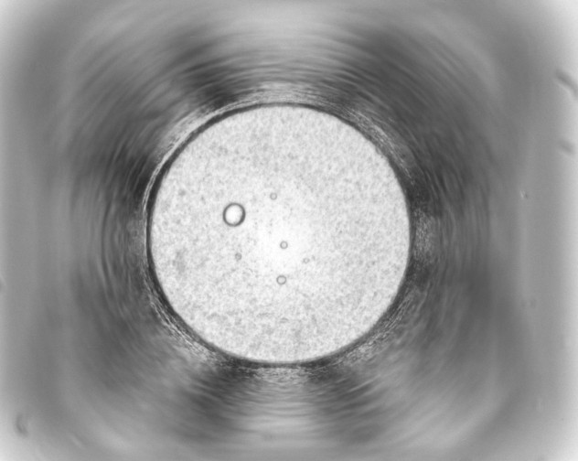 X0000093760836200710301143