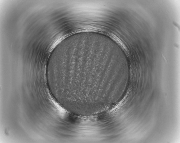 X0000093760842200710301143